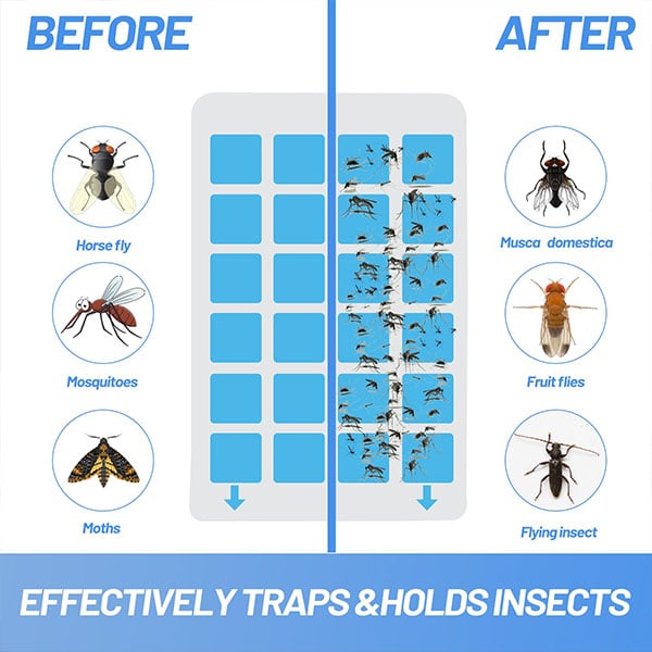 (1 Device + 5 Refills)Fruit Fly Traps for Indoors,Gnat Traps for House Indoor Plug-in Light for Flies